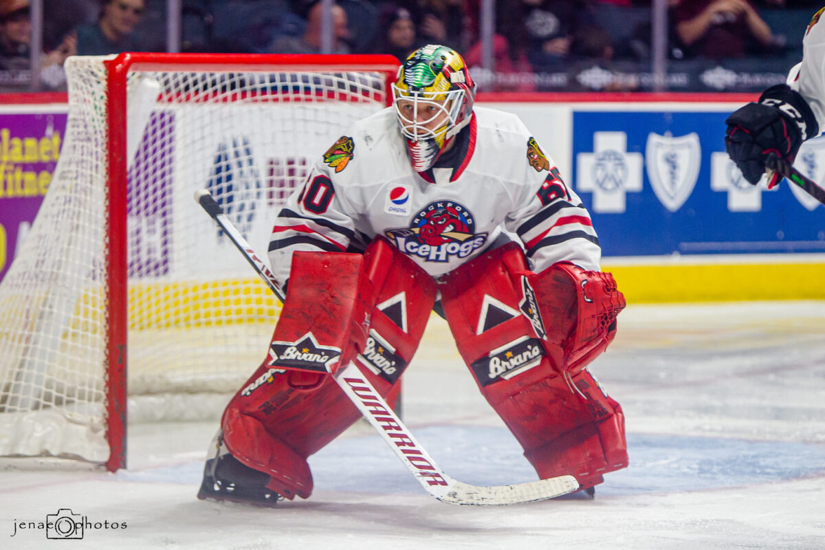 Collin Delia Rockford IceHogs