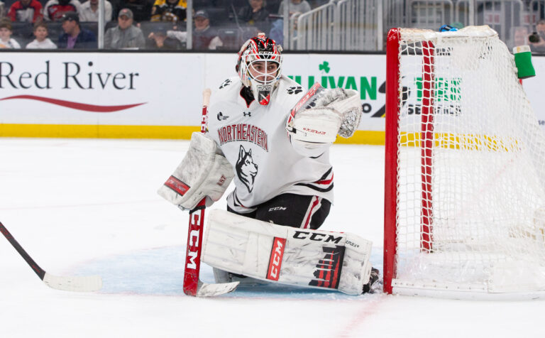 The Top 10 NHL Goalie Prospects