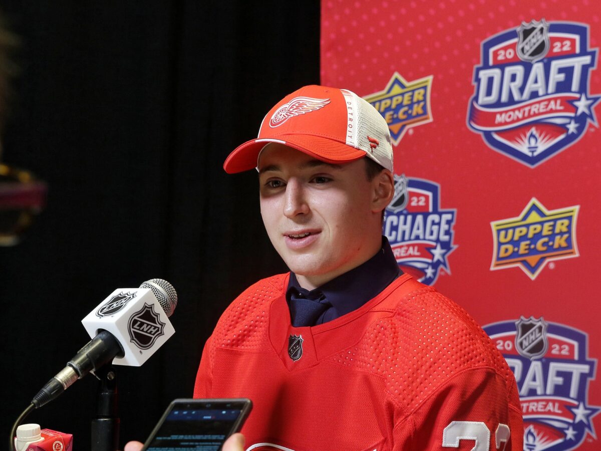 Detroit Red Wings prospect Marco Kasper would pair well with Dalibor Dvorsky