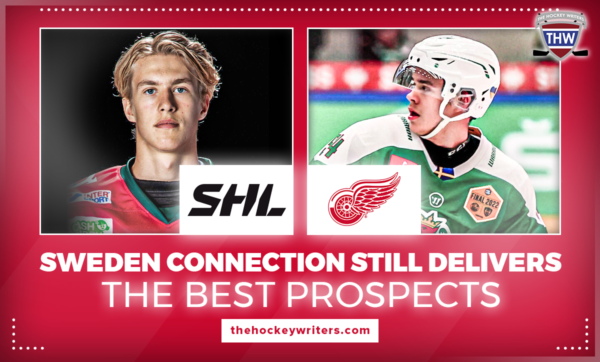 Sweden Connection Still Delivers the Best Prospects Simon Edvinsson and William Wallinder Detroit Red Wings SHL