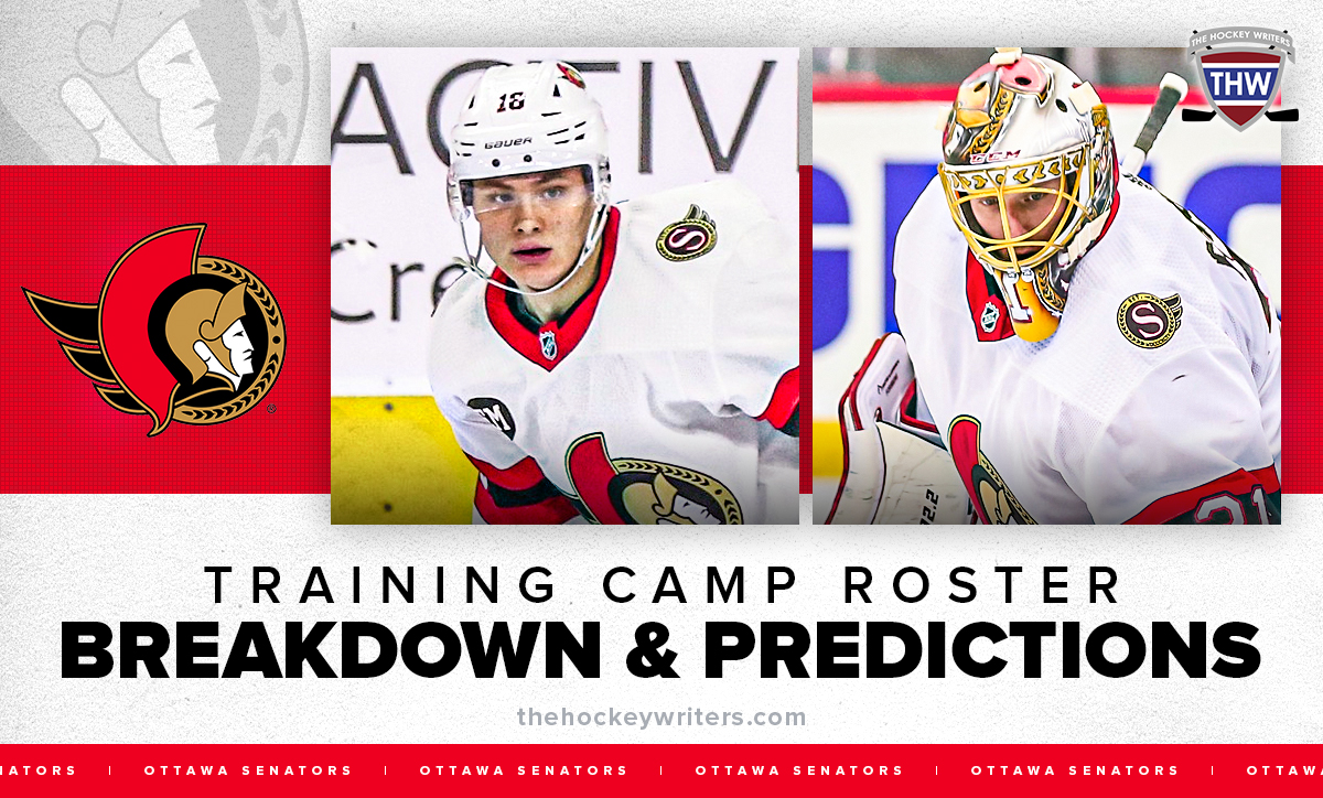 Ottawa Senators Training Camp Roster Breakdown & Predictions Anton Forbserg and Tim Stützle