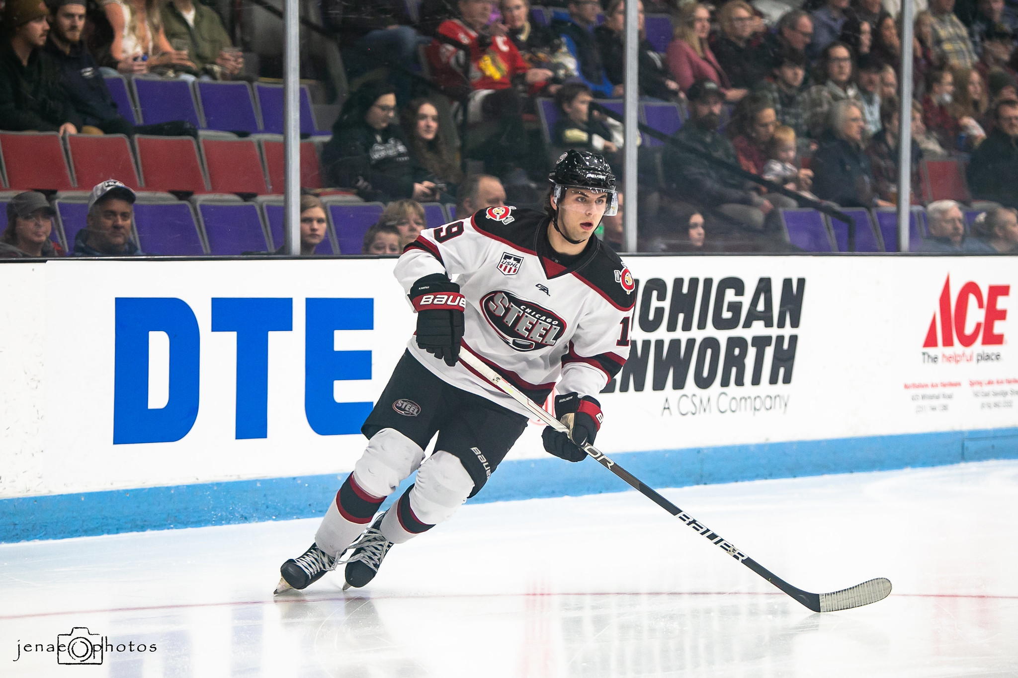 Fantilli's Chicago Steel Roots Paving the Way to NHL Stardom - The ...