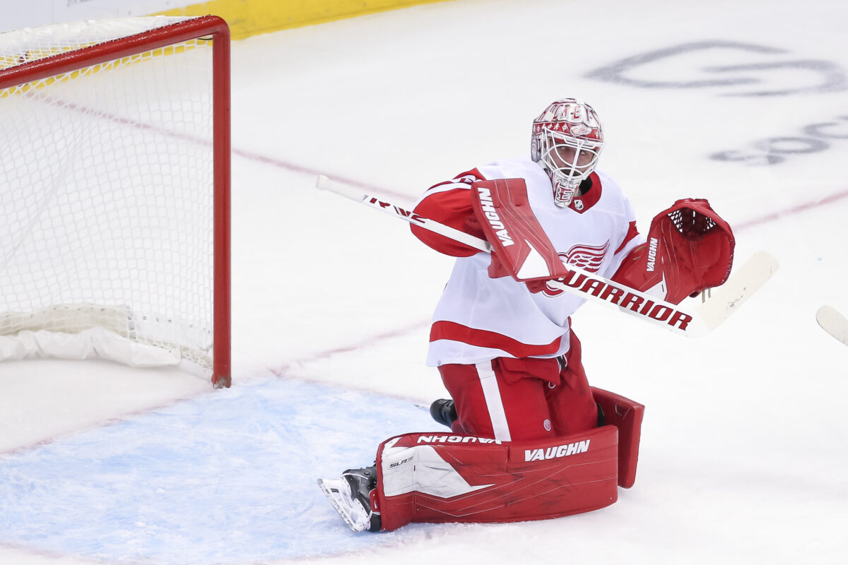 Goalie Alex Nedeljkovic of the Detroit Red Wings