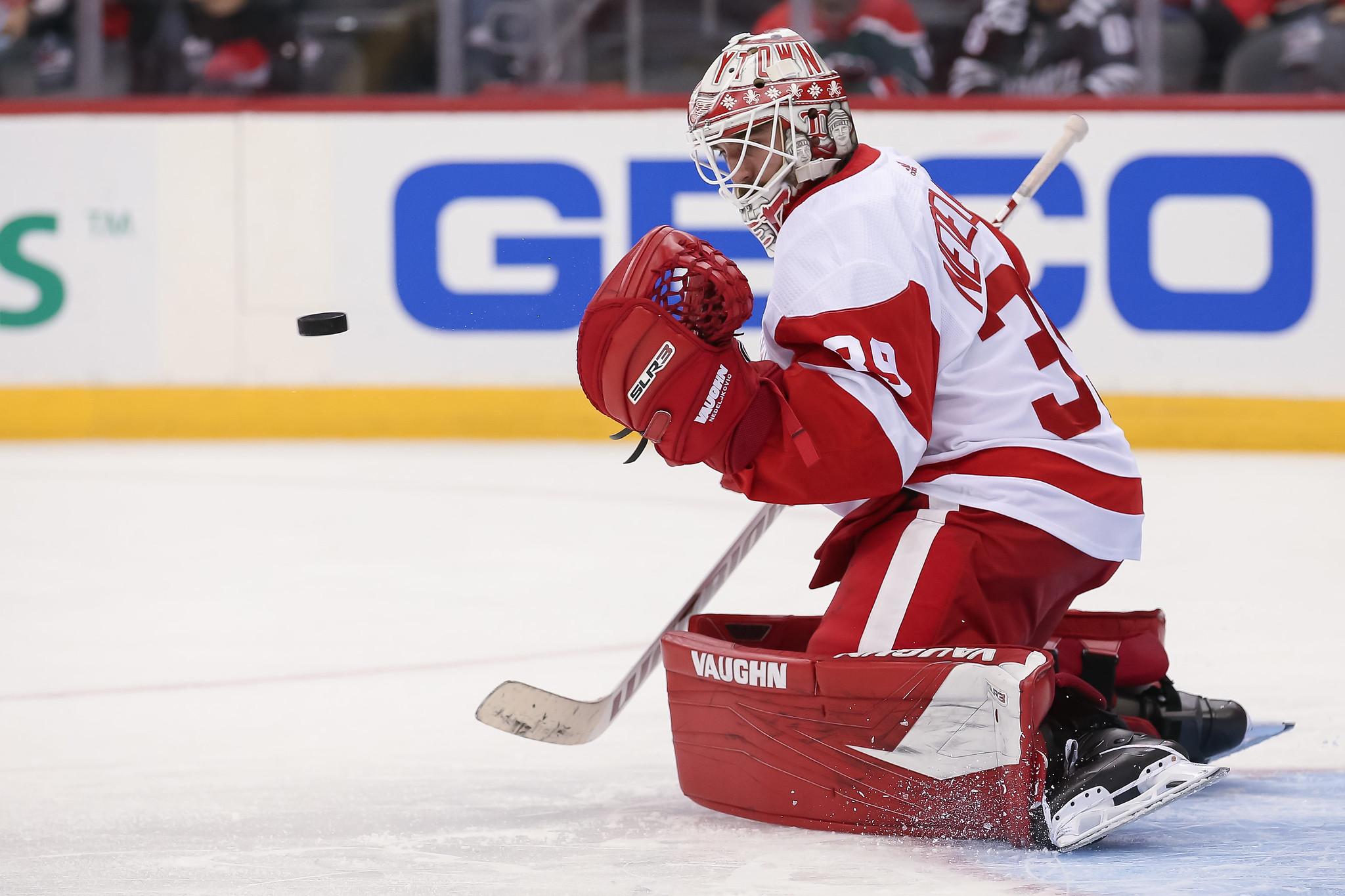 Red Wings 2022-23 grades: Top players delivered, some underperformed 