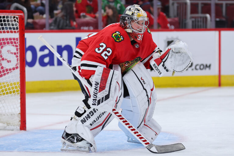 5 Best NHL Backup Goalies