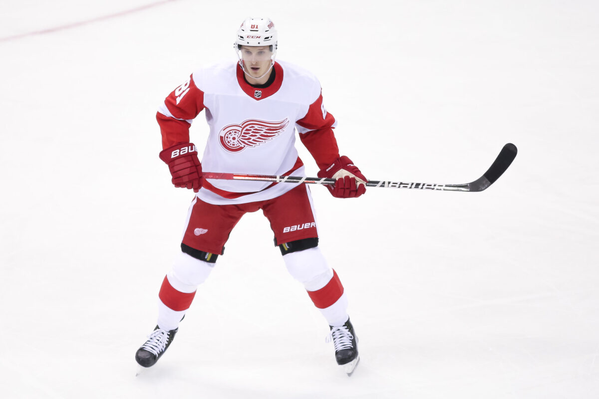 Dominik Kubalik Detroit Red Wings