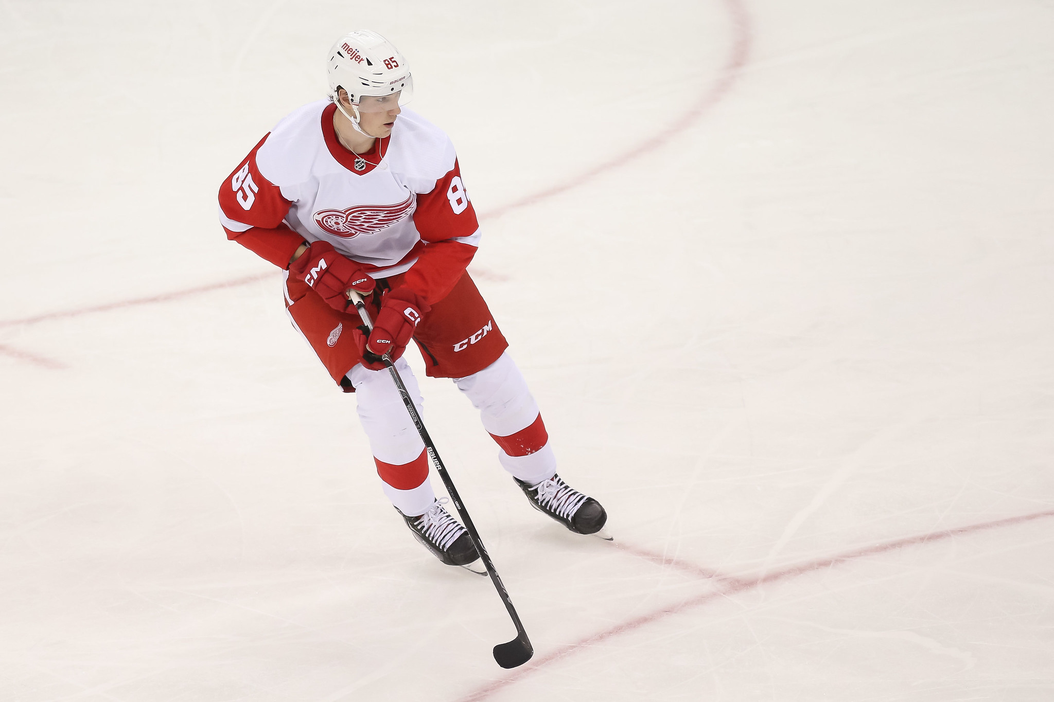 5 Red Wings Prospects That Could Make the Opening Night Roster The