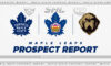 Toronto Maple Leafs Prospect Report Marlies Newfoundland Growlers KHL, NCAA and SHL