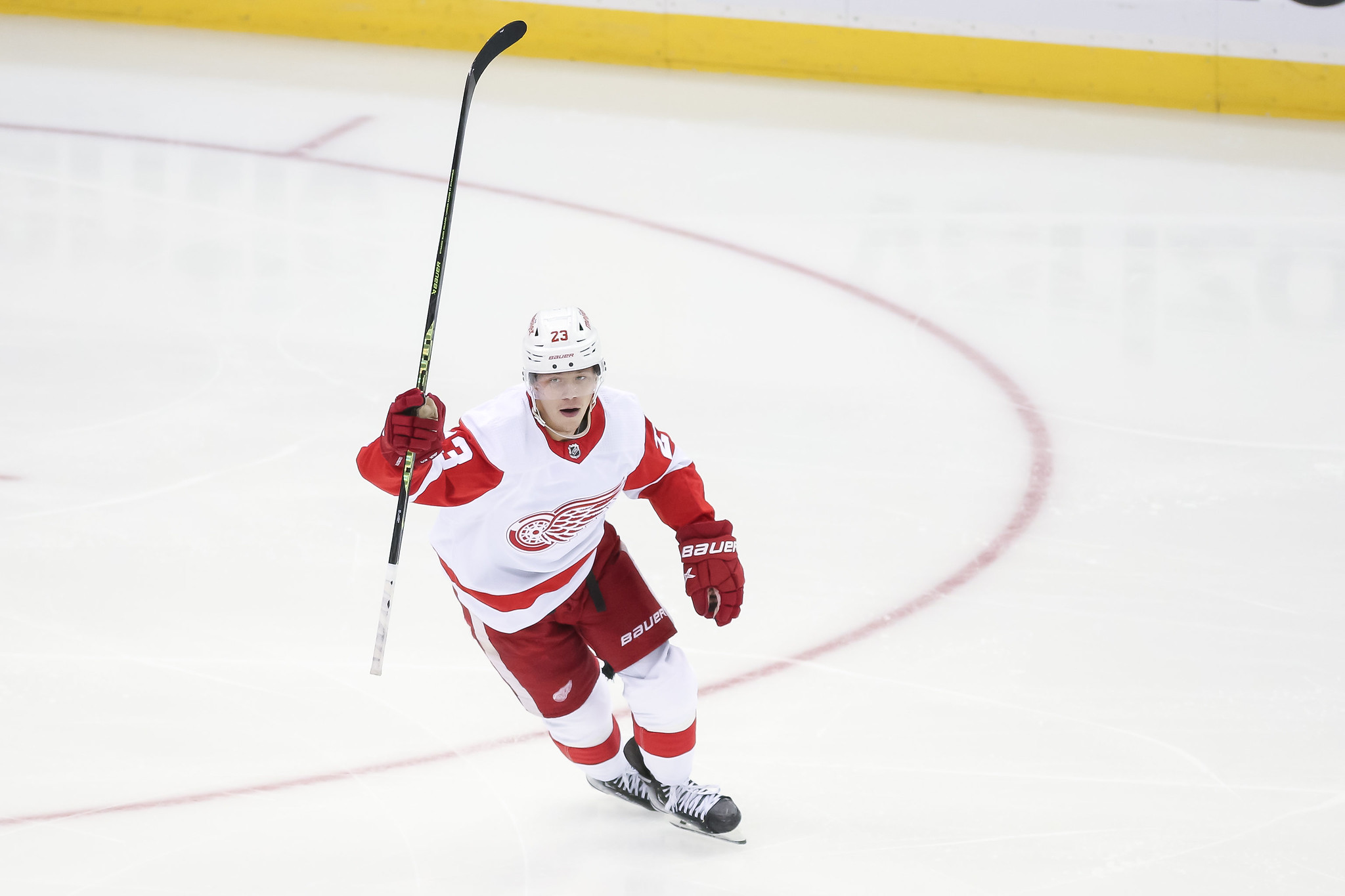 Red Wings 2023 predictions: Lucas Raymond, Moritz Seider bounce back, a big  trade - The Athletic