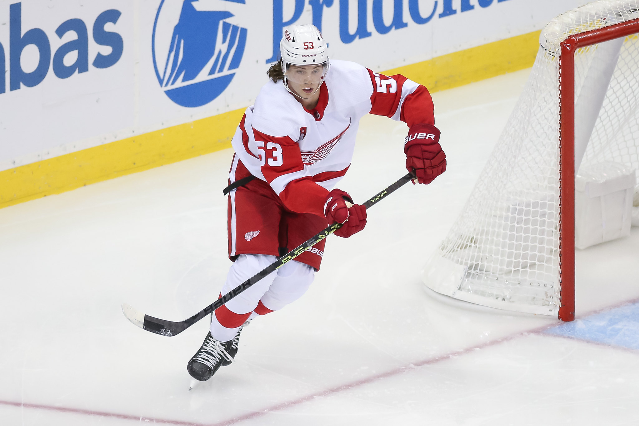 The Five Most Valuable Red Wings on the Roster - Detroit Hockey Now