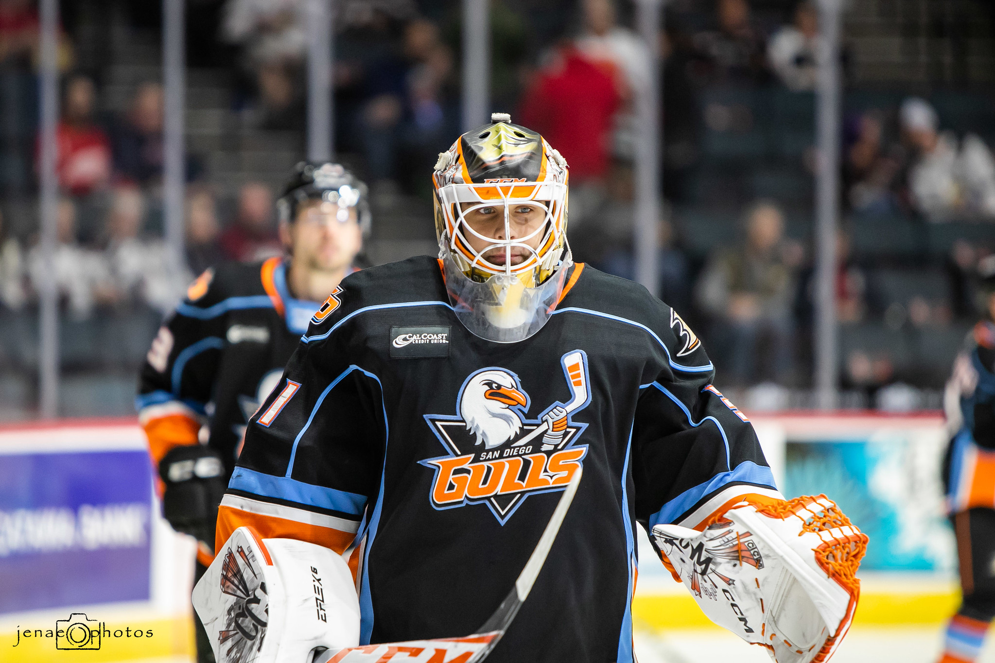 San Diego Hockey History: A Look At The Gulls