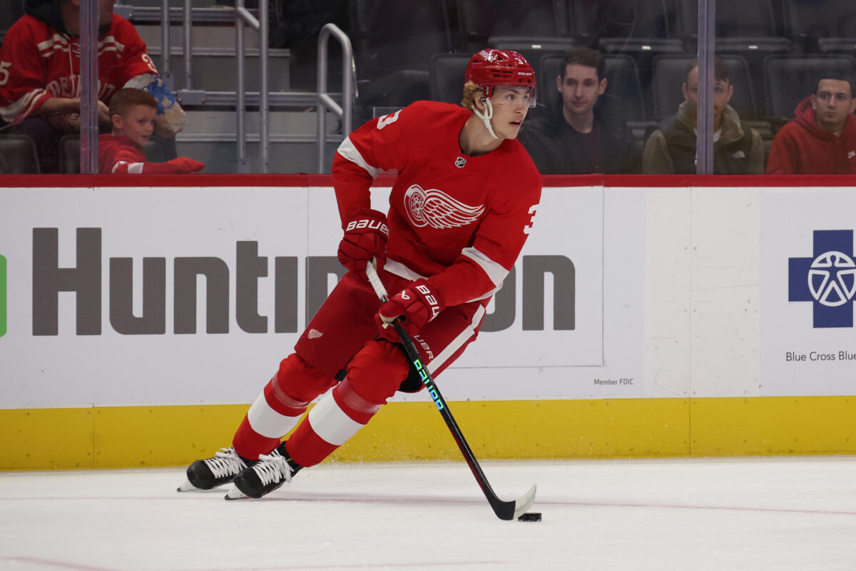 UPDATE: Detroit Red Wings make 11 selections in the 2023 NHL Draft – 9&10  News