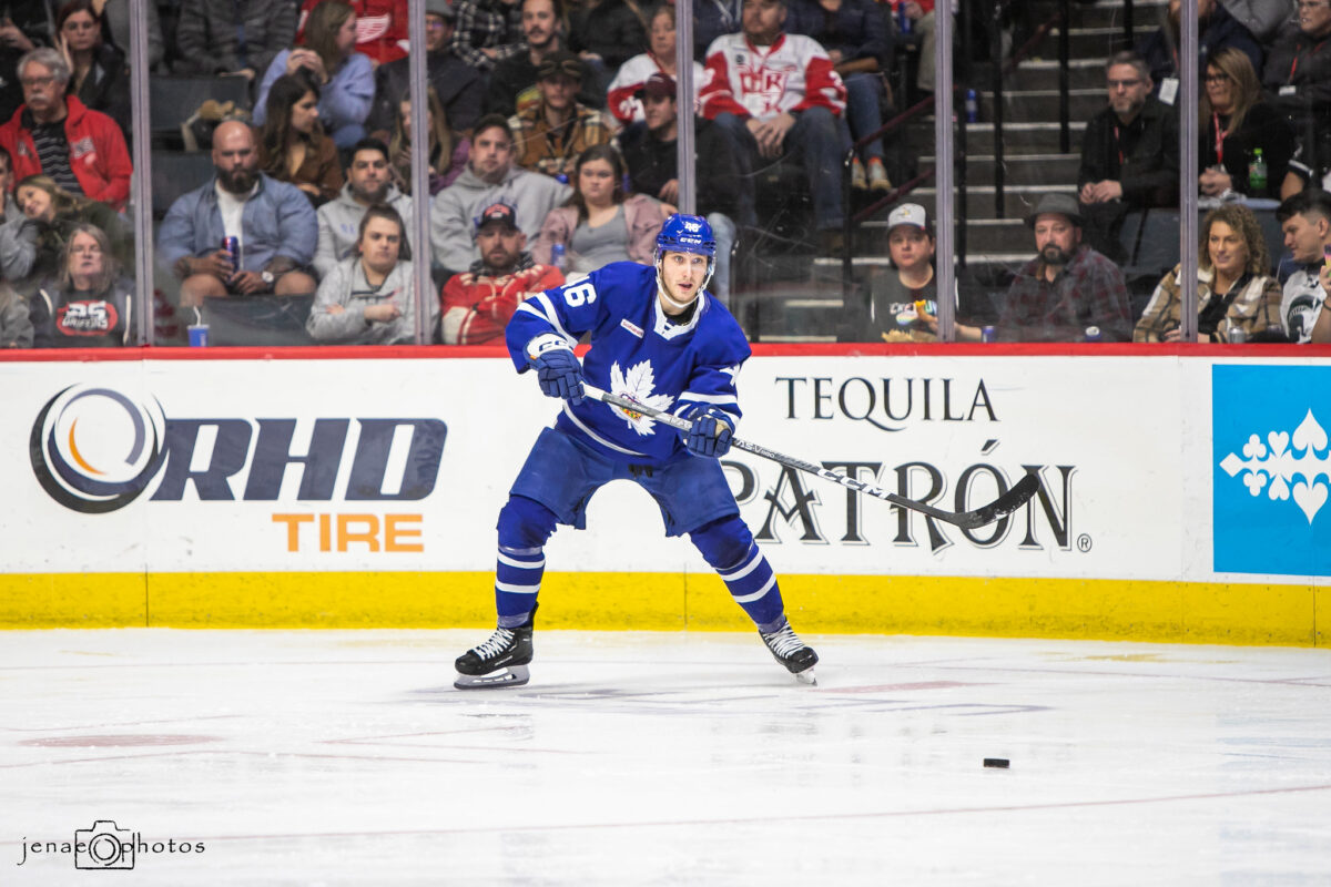 Alex Steeves Toronto Marlies