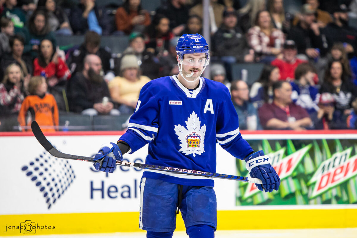 Logan Shaw Toronto Marlies