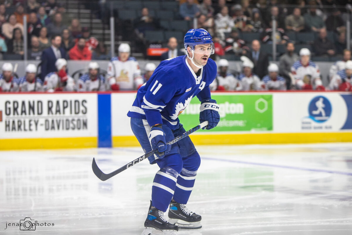 Logan Shaw Toronto Marlies