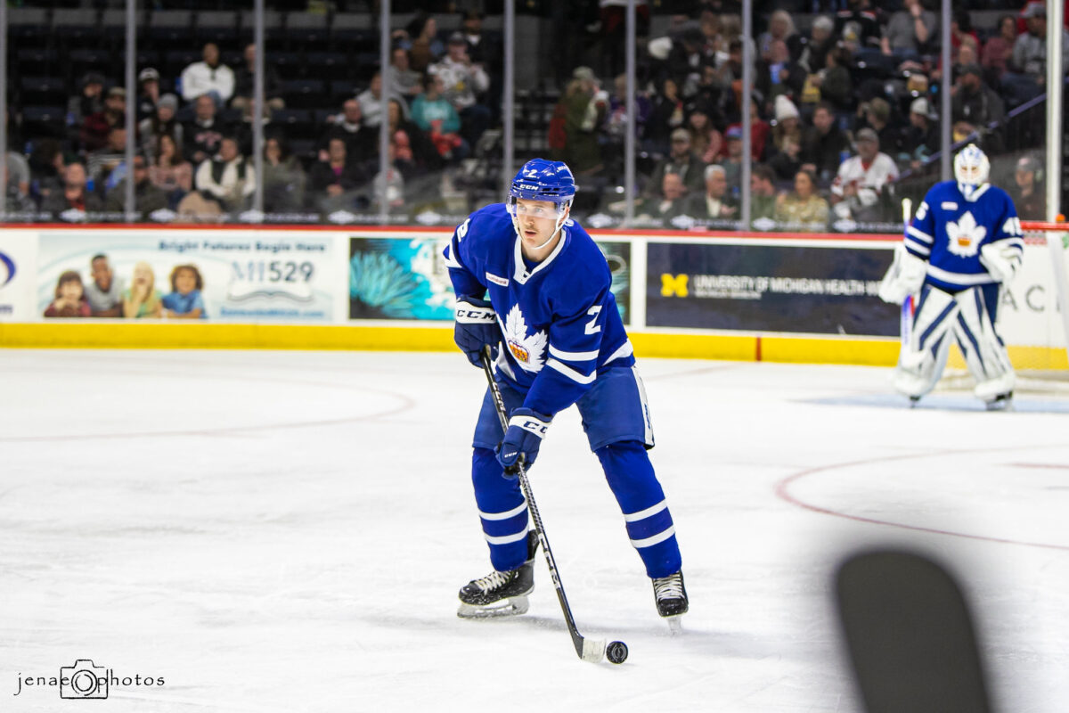 Noel Hoefenmayer Toronto Marlies