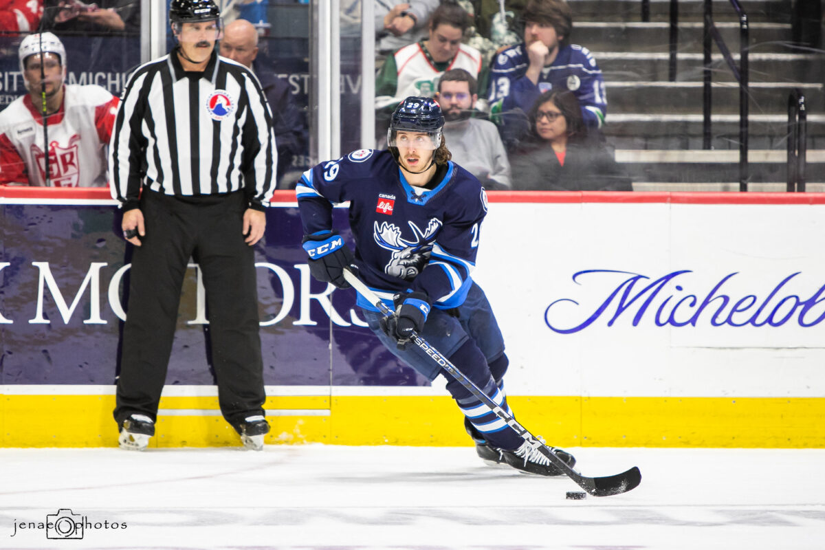 Alex Limoges Manitoba Moose