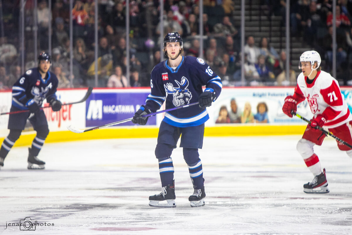 Brad Lambert Manitoba Moose