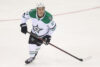 Mason Marchment Dallas Stars