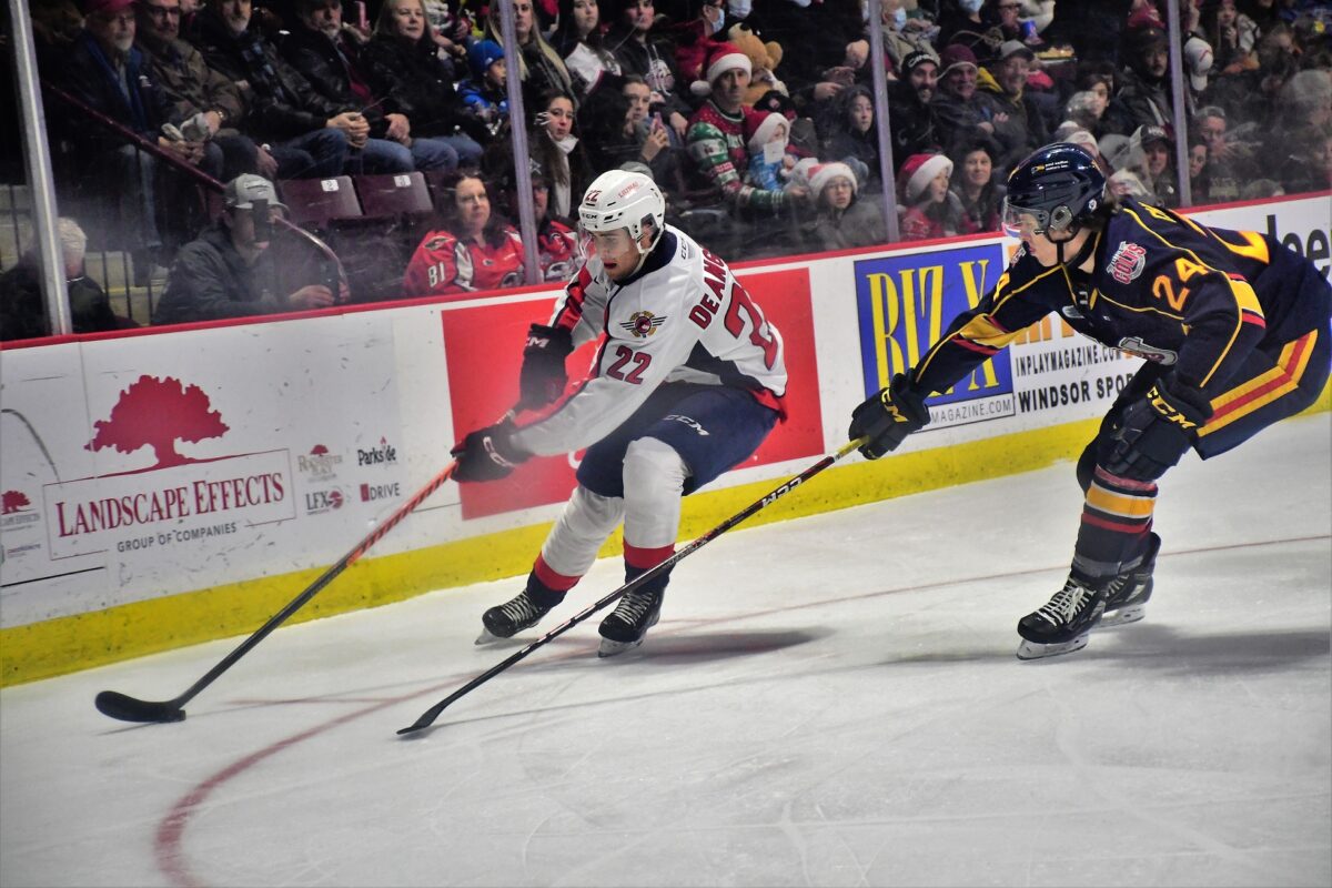 Nick DeAngelis Windsor Spitfires
