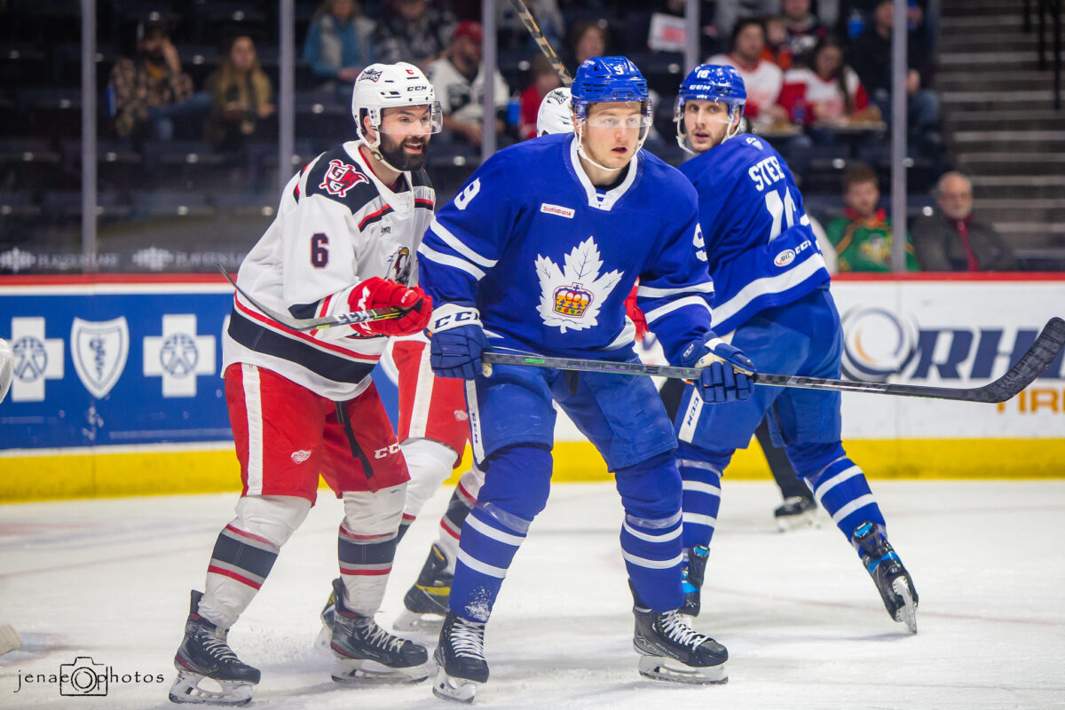 Bobby McMann Toronto Marlies