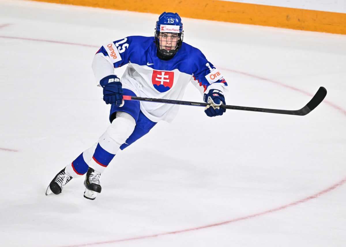 Potential Detroit Red Wings draft pick Dalibor Dvorsky