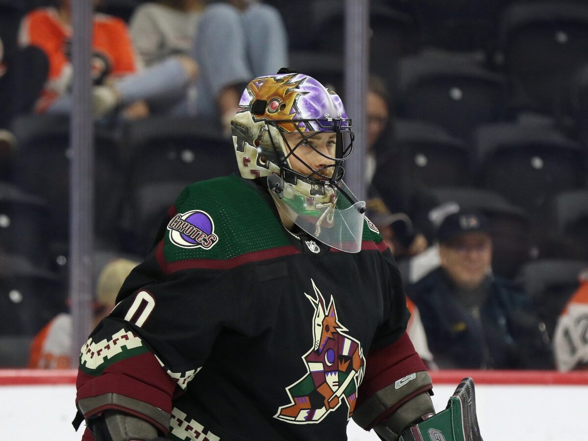 Karel Vejmelka Arizona Coyotes