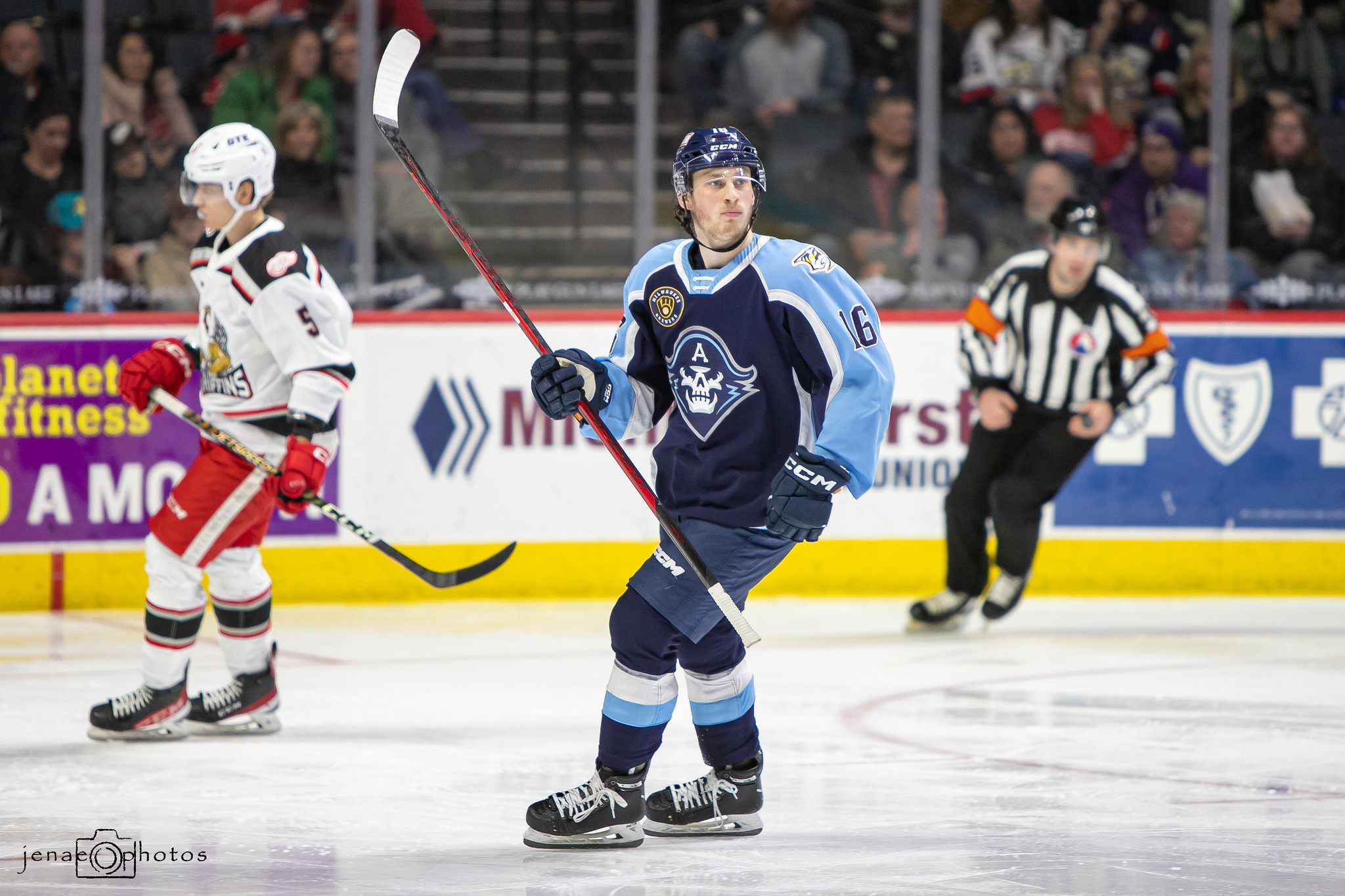 Nashville Predators Prospect Spotlight: Top Prospects in the AHL ...