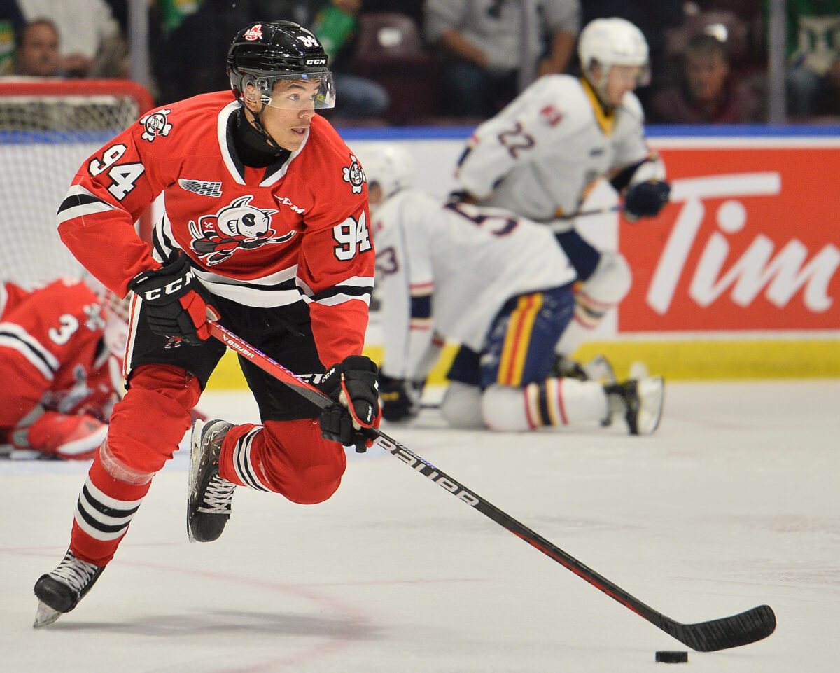 Rodwin Dionicio Niagara IceDogs