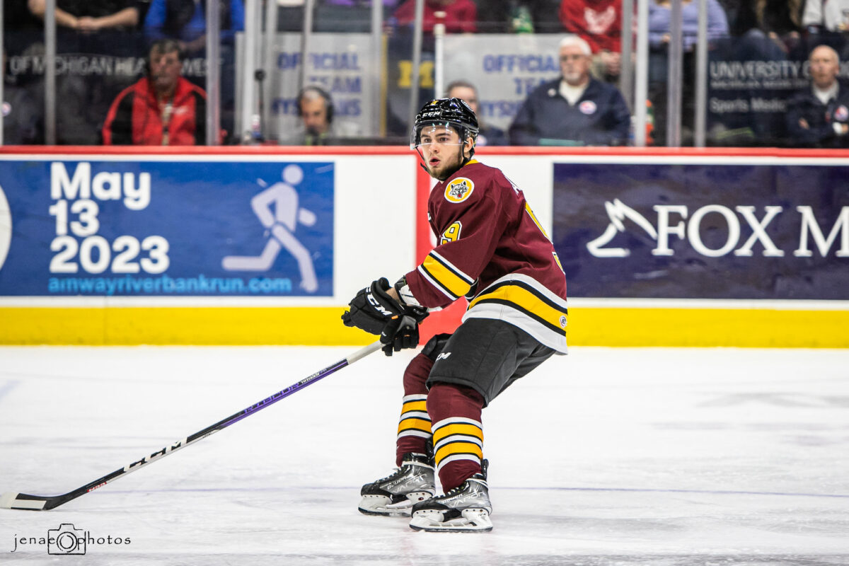 Alexander Pashin Chicago Wolves