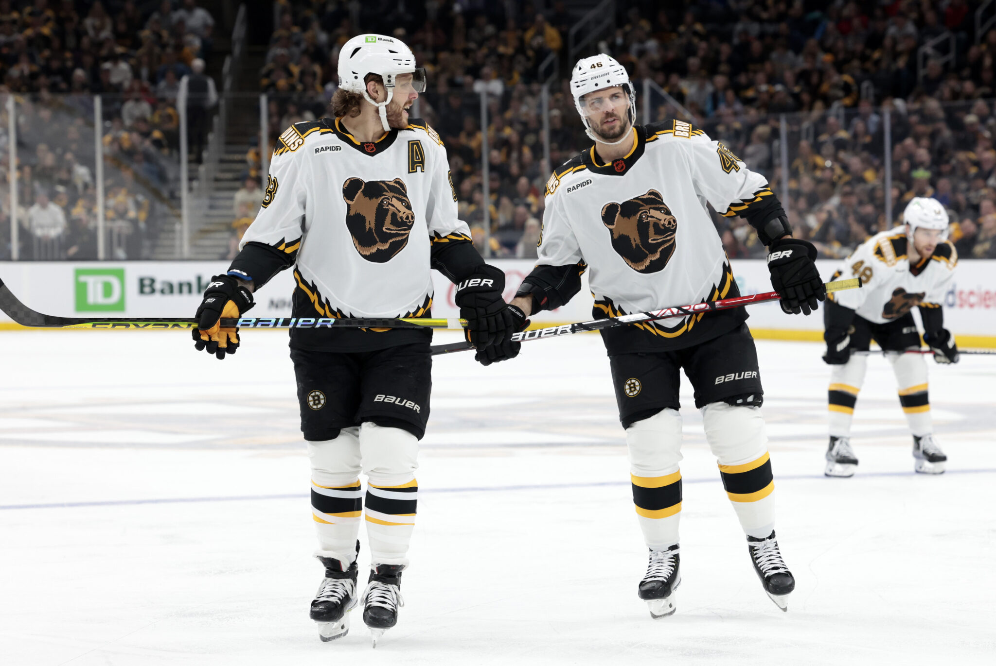 Can David Pastrnak Become the Greatest Goal Scorer in Boston Bruins ...