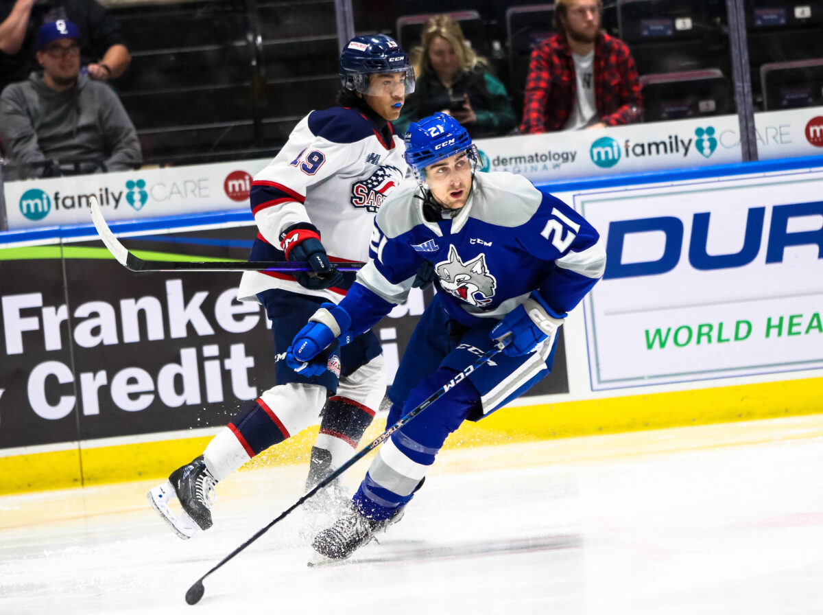 Alex Pharand Sudbury Wolves