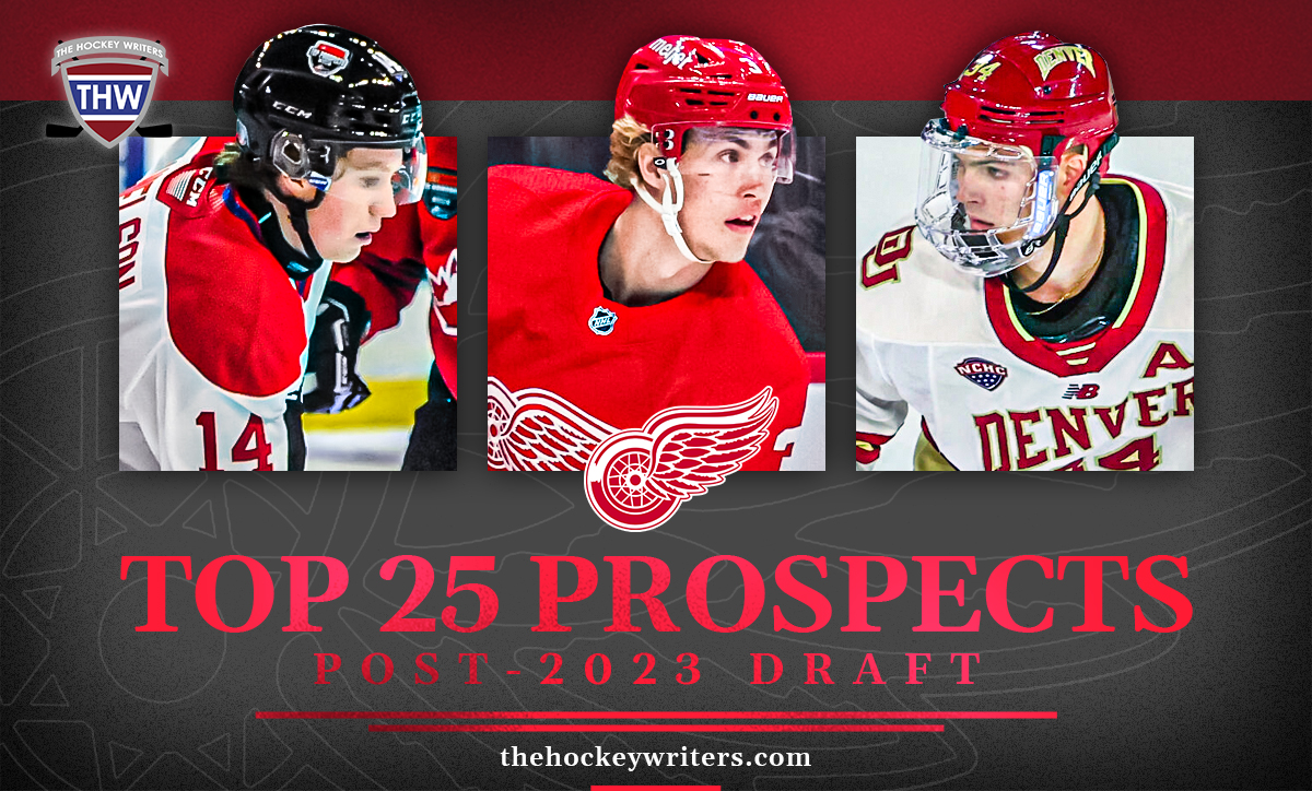 2023-24 NHL Prospect Pool Overview: Detroit Red Wings - The Hockey