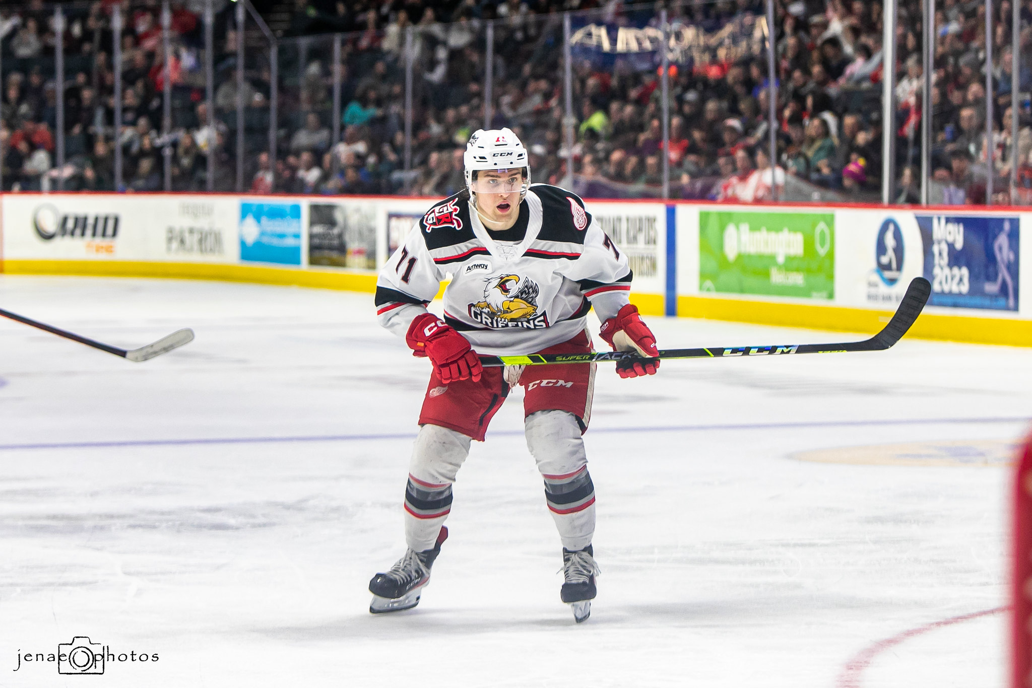 Griffins Notebook: End Of Season, 2024-25 Outlook & More - The Hockey ...