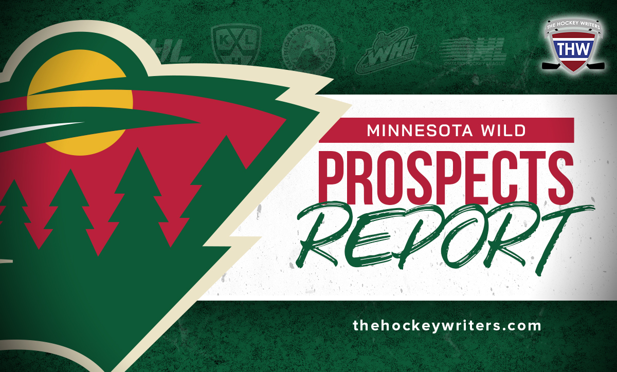 Minnesota Wild Prospects Report