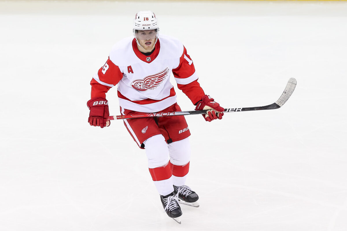 Late Goal Gives Red Wings a Win Over Toronto - The Hockey Writers ...