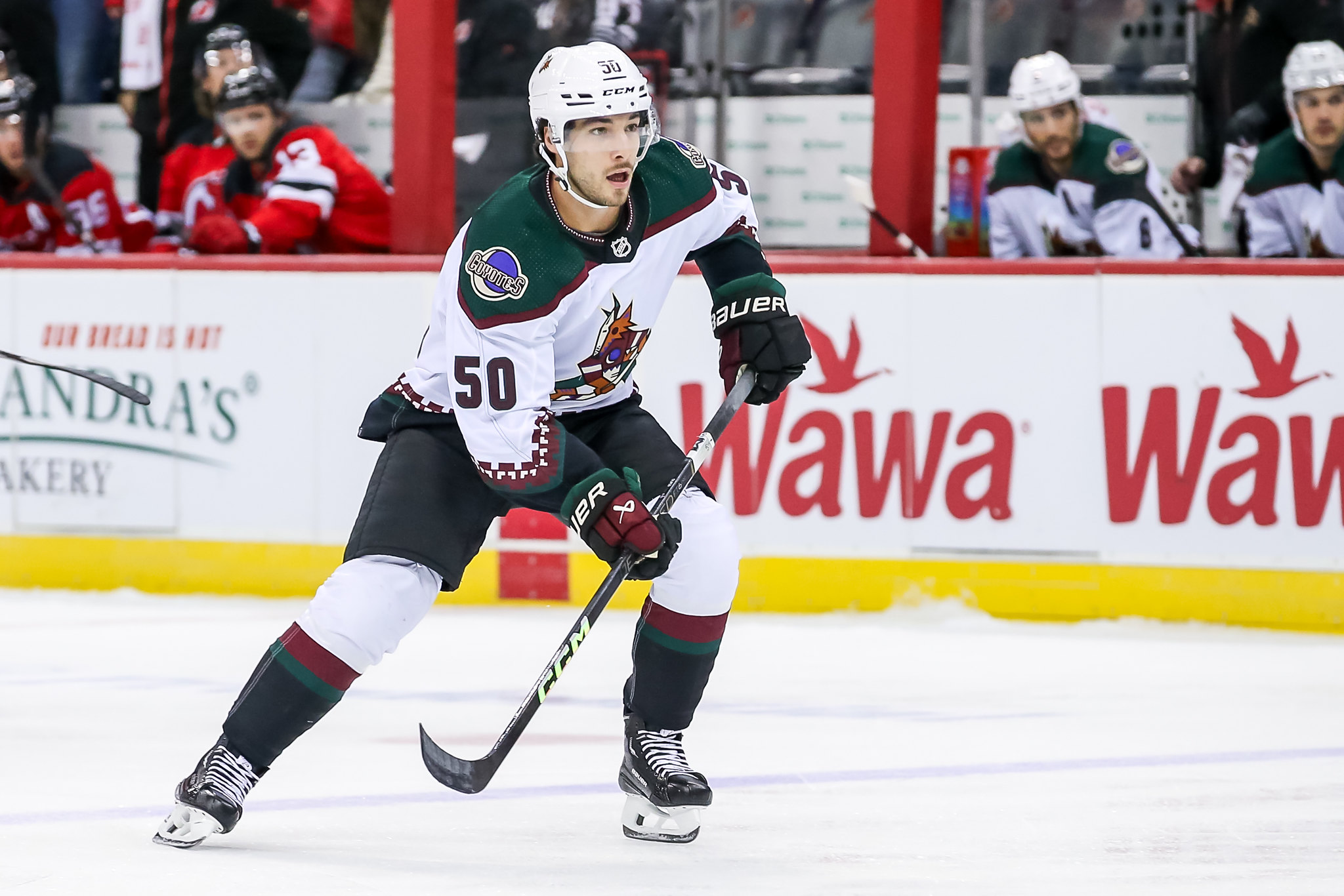 Arizona Coyotes Start Season Strong with Key Roster Additions BVM Sports