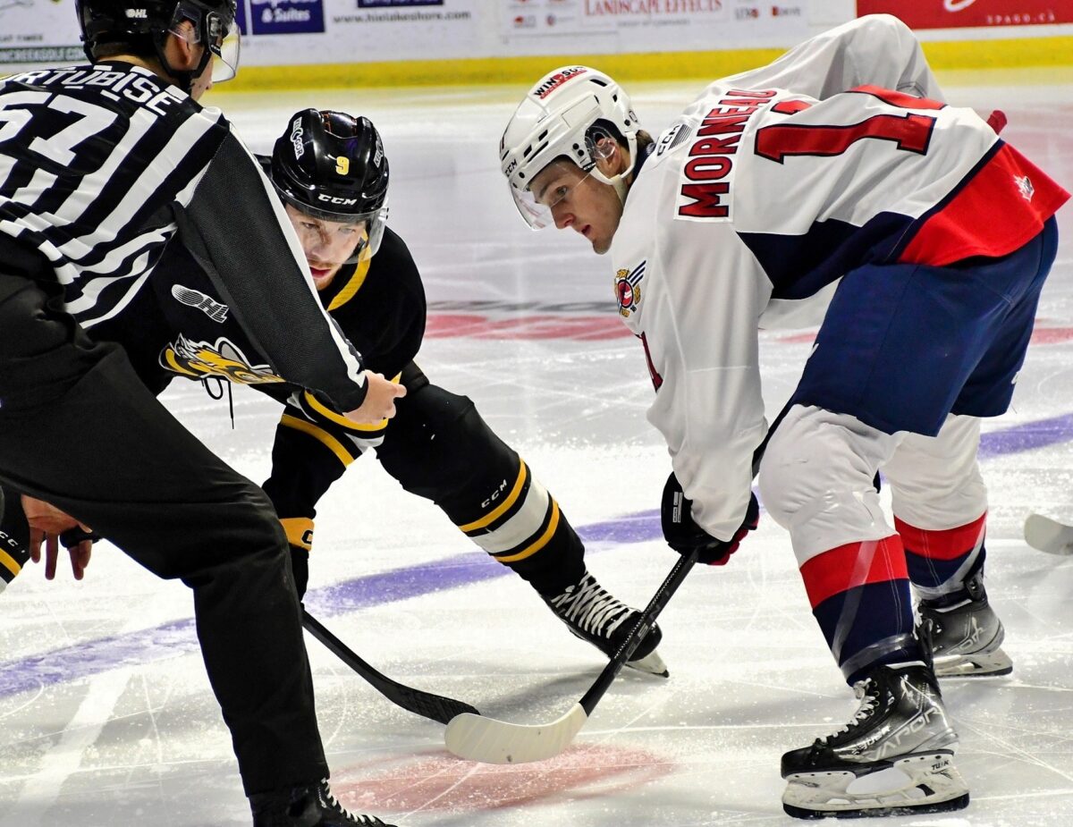 Noah Morneau Windsor Spitfires