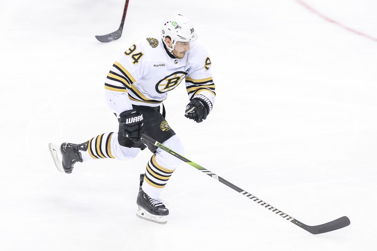 Jakub Lauko Boston Bruins