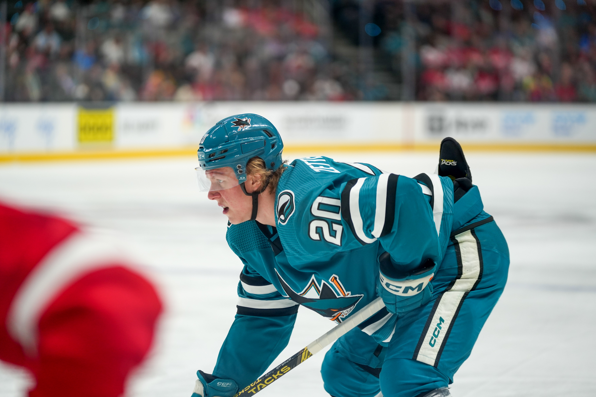 San Jose Sharks Future Looks Bright: Zetterlund, Eklund, Hertl, Ferraro ...