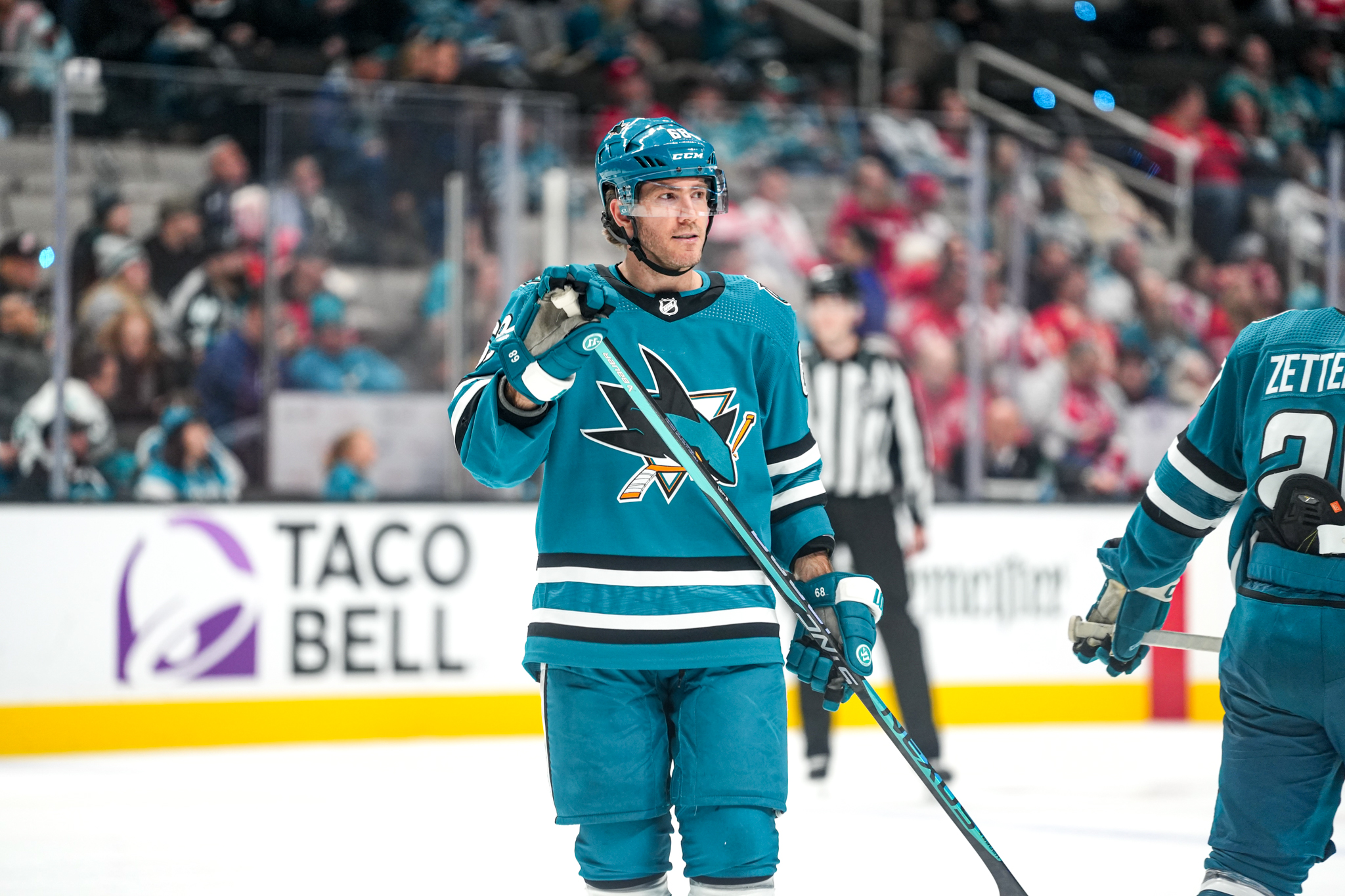 Mike Hoffman Disappoints for San Jose Sharks in the 2023-24 Season: Player Grades
