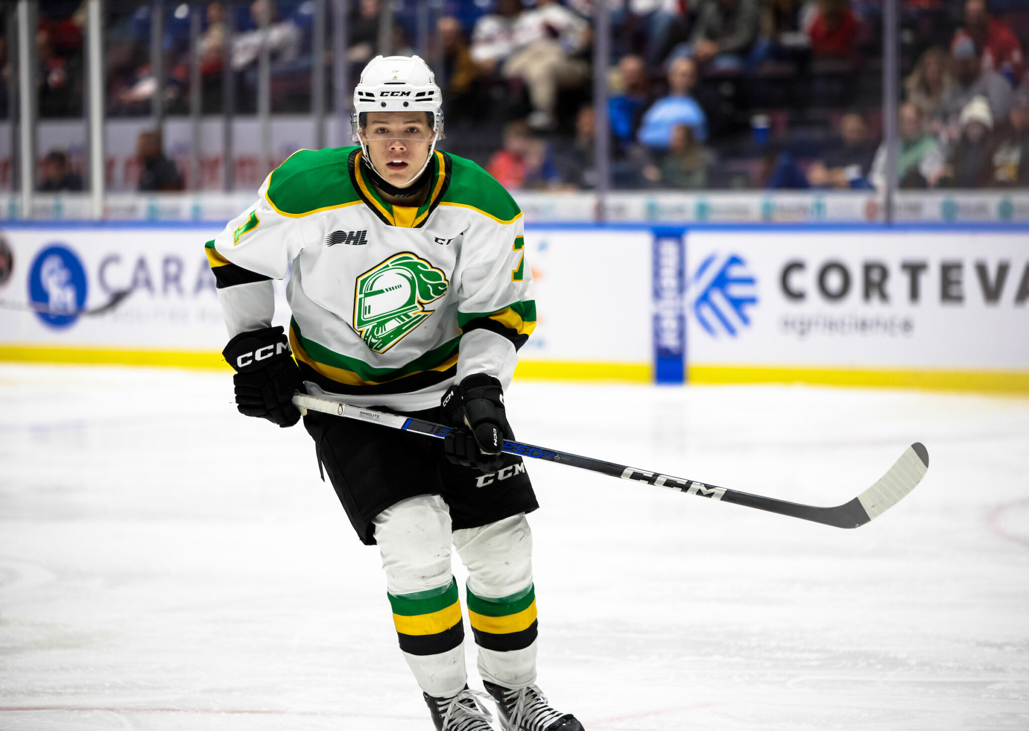 Maple Leafs’ Top 10 Prospects For 2024-25 Season - The Hockey Writers ...