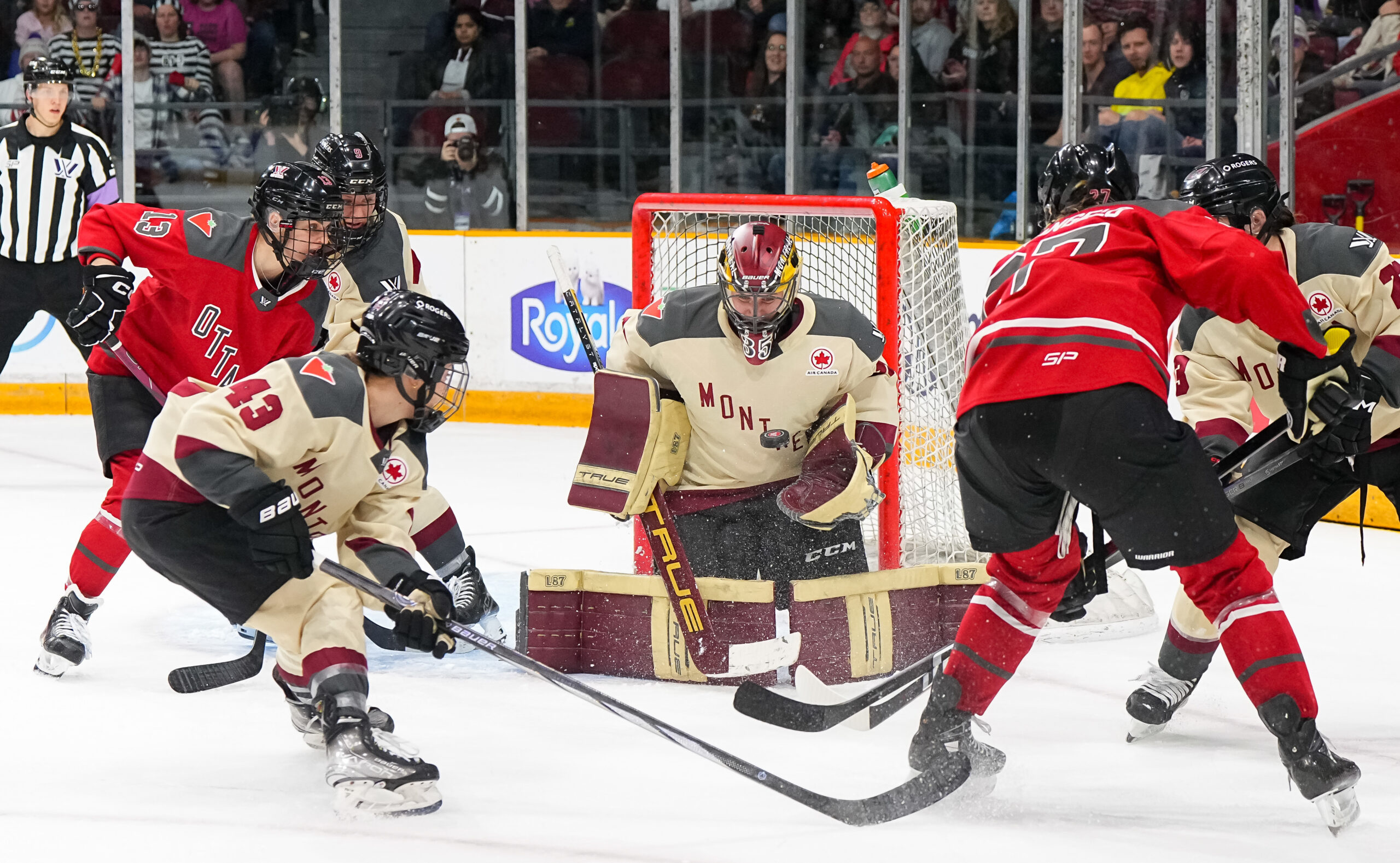 5 Pwhl Montreal Players Full Of Confidence After World Championships The Hockey Writers Pwhl 