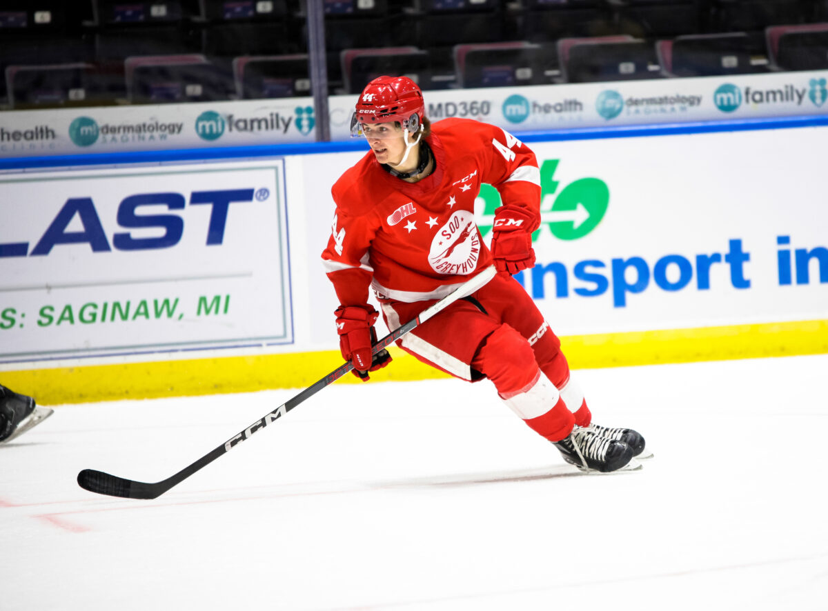 Brady Martin Sault Ste. Marie Greyhounds