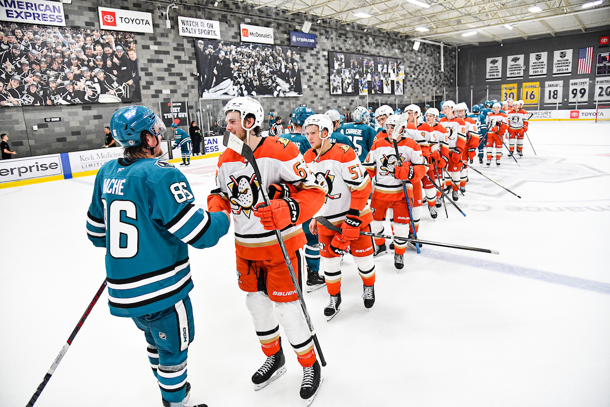 San Jose Sharks Anaheim Ducks Rookie Faceoff