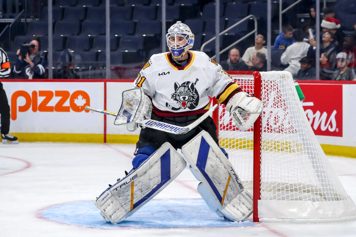 Dustin Tokarski Chicago Wolves