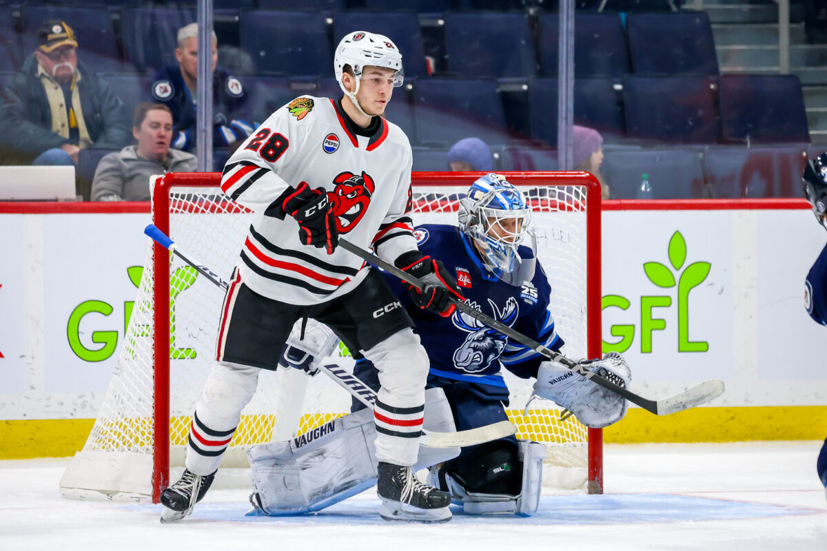 Colton Dach Rockford IceHogs