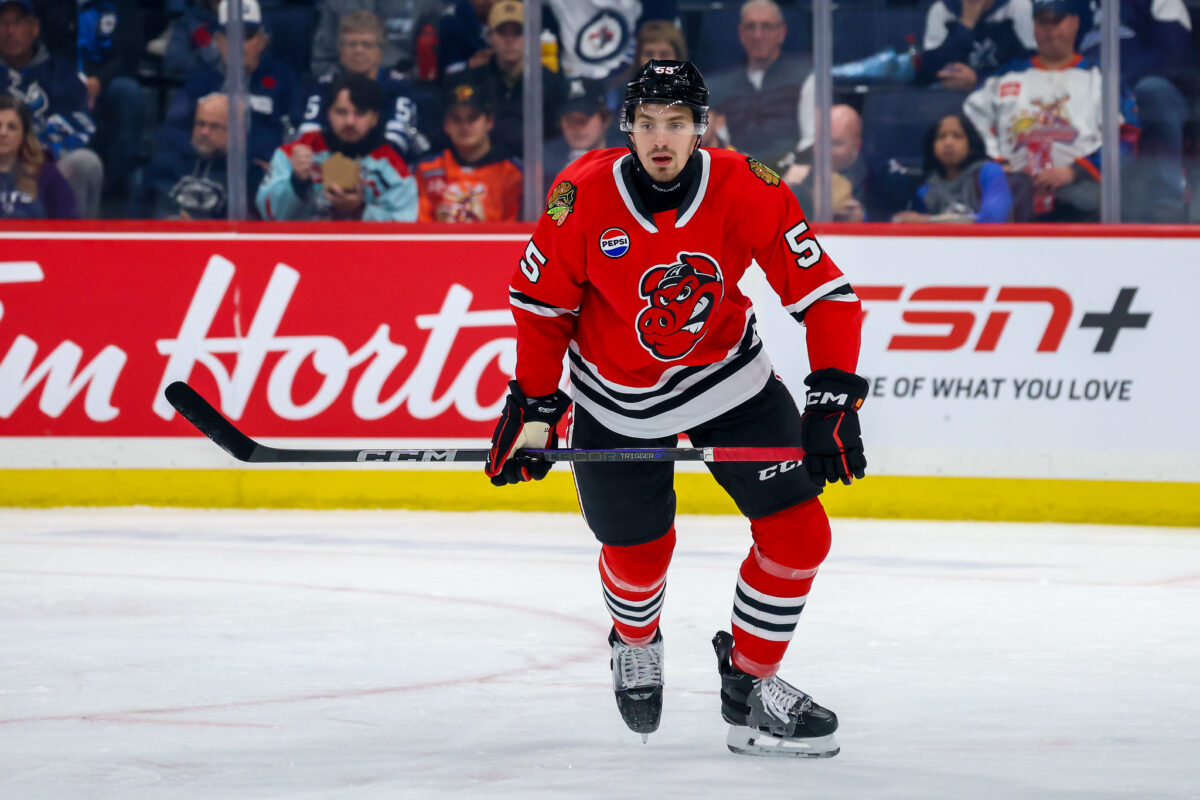 Artyom Levshunov Rockford Icehogs