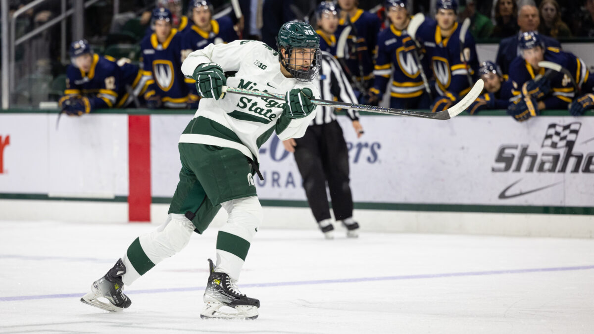 Vladislav Lukashevich Michigan State University