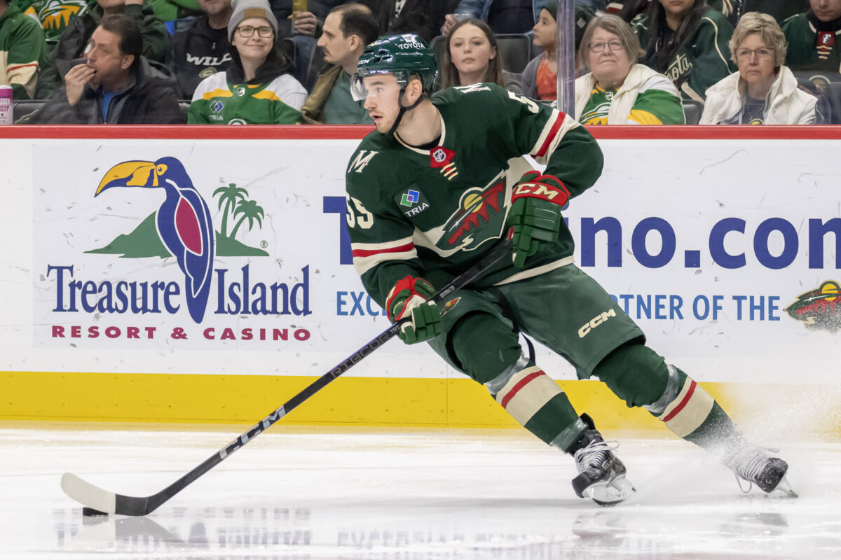 David Jiricek Minnesota Wild